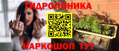 амф Будённовск