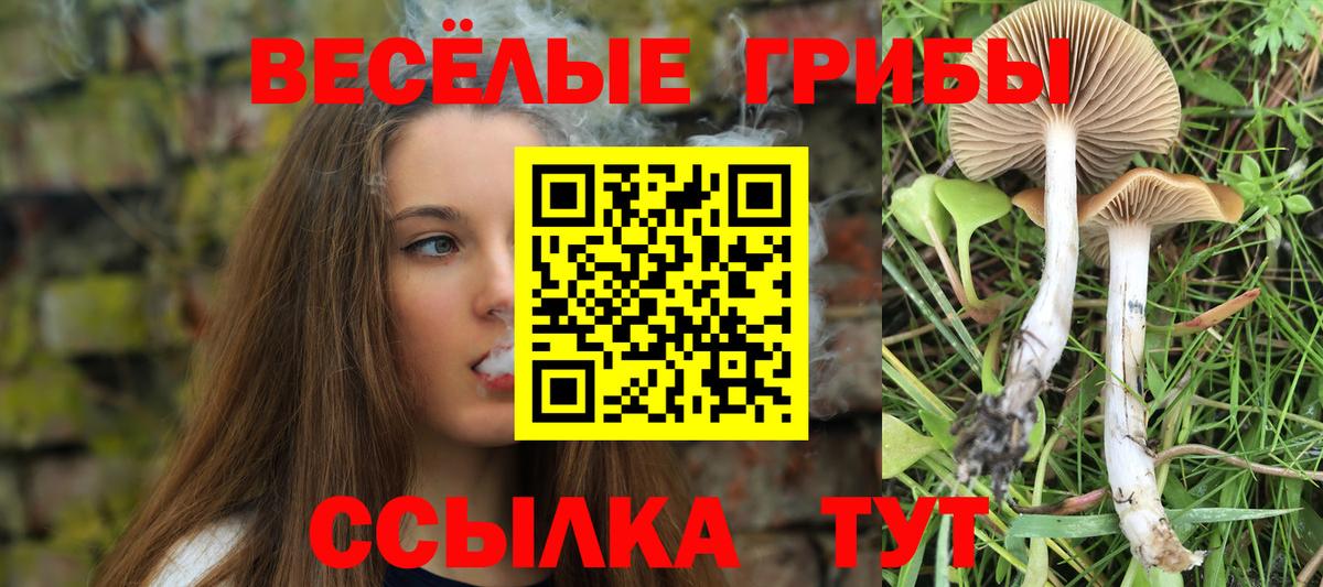 Галлюциногенные грибы Cubensis  Вход с VPN  Сарапул 